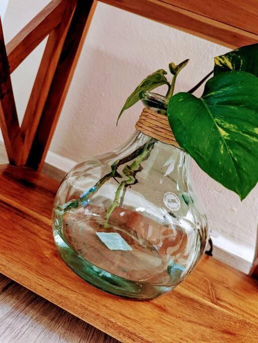 Apartment Eco