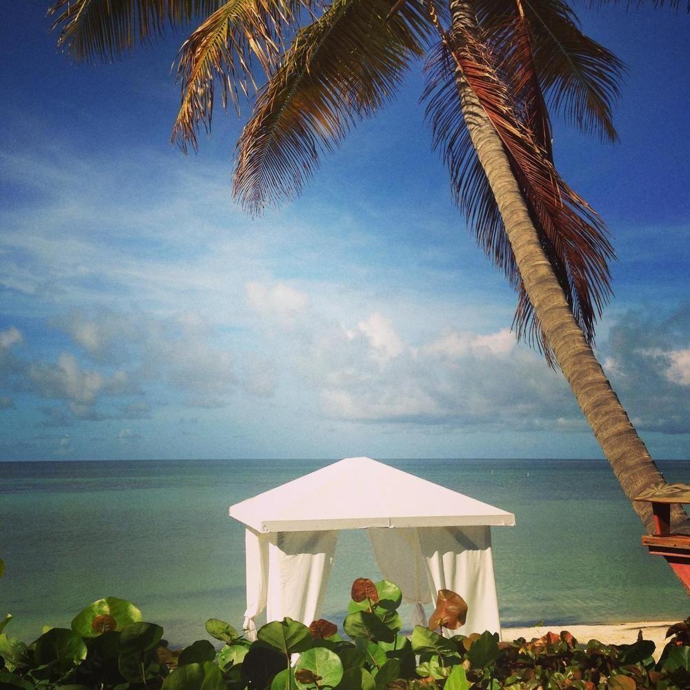 Grand Bahia Ocean View Apartment *