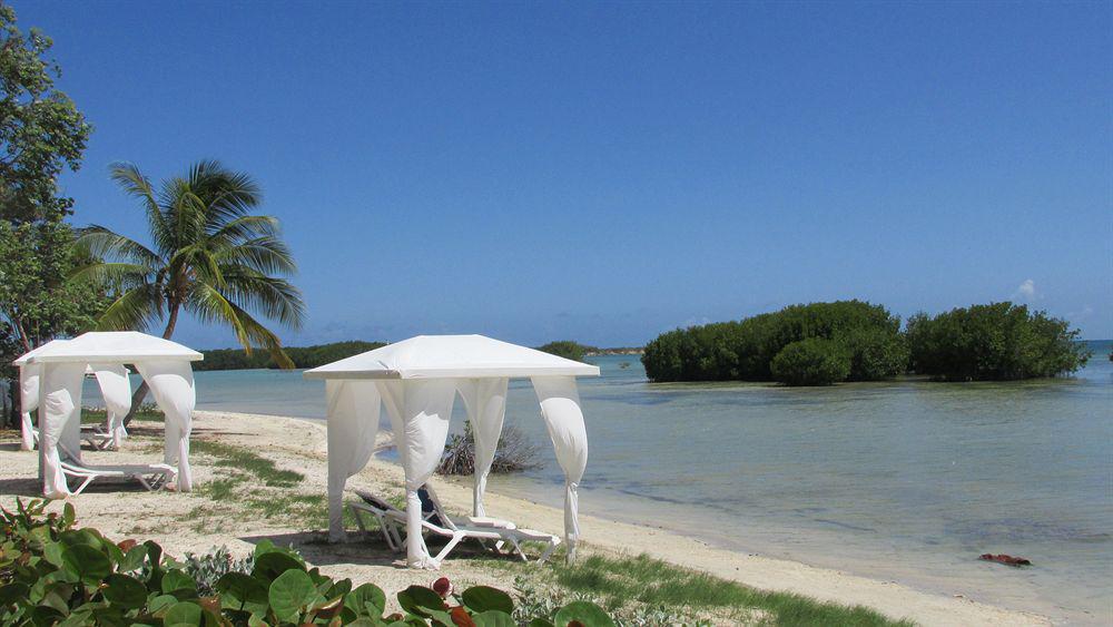 Grand Bahia Ocean View * Cabo Rojo