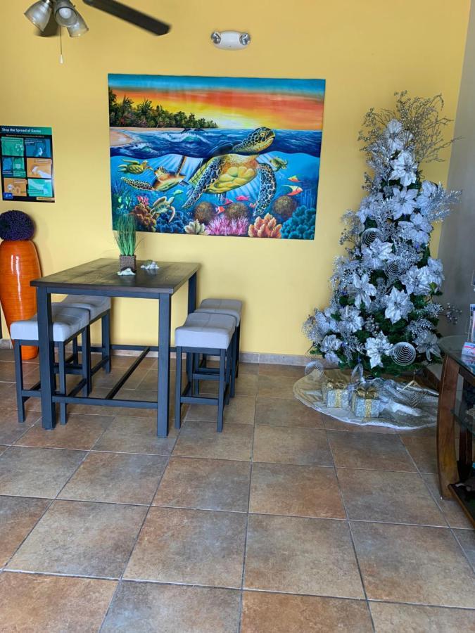 Bed & Breakfast Turtle Bay
