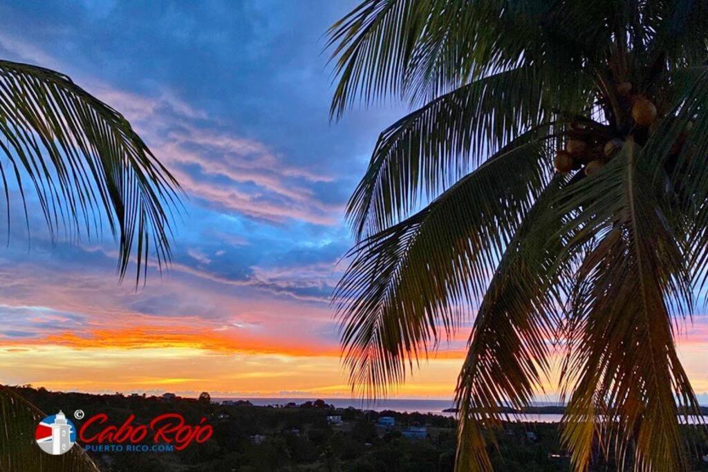 2-br Modern Oceanfront Steps From Playa Sucia Apartment *