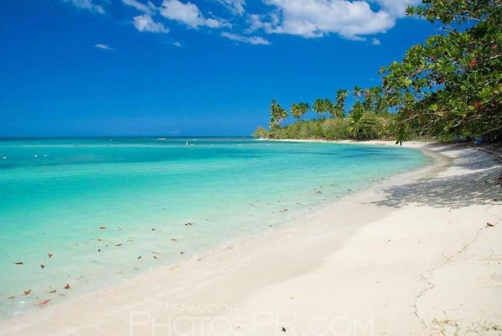 Apartment 2-br Modern Oceanfront Steps From Playa Sucia