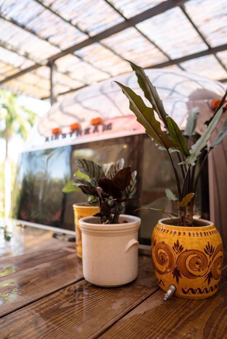 Bed & Breakfast Victoria Vieques