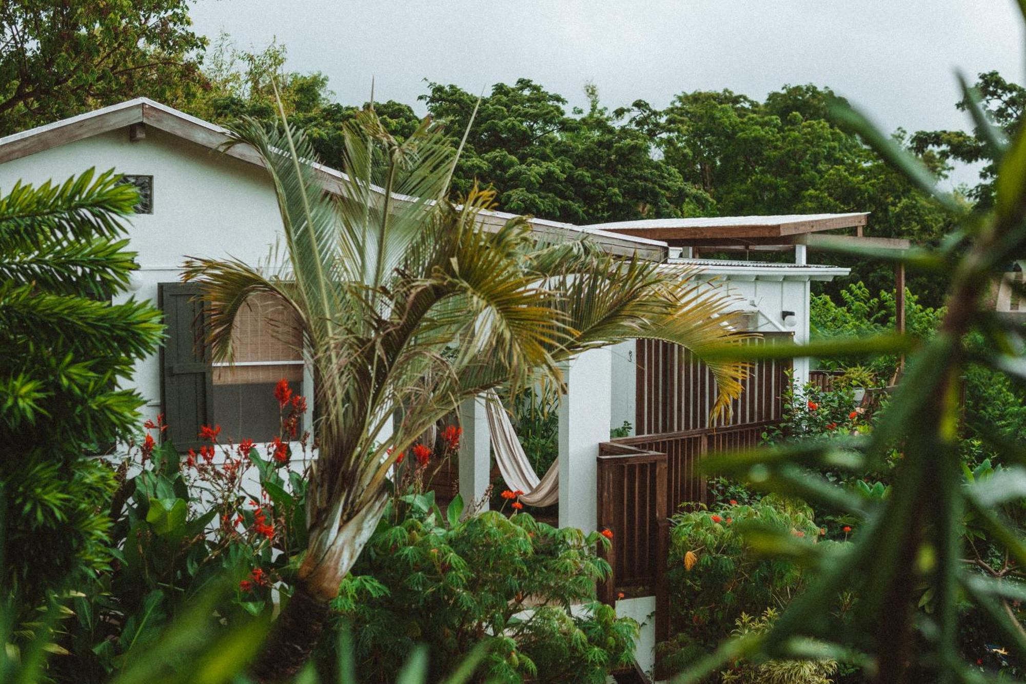 Victoria Vieques