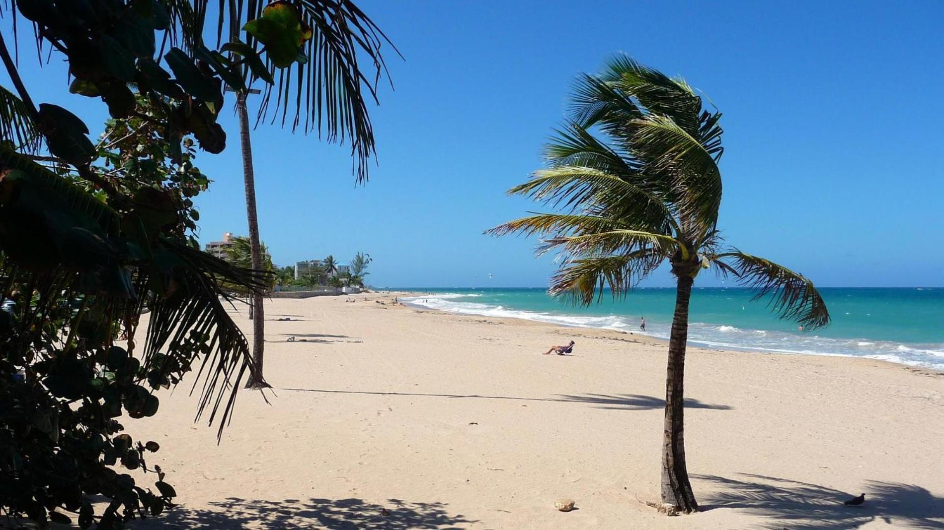 Serena Baja *