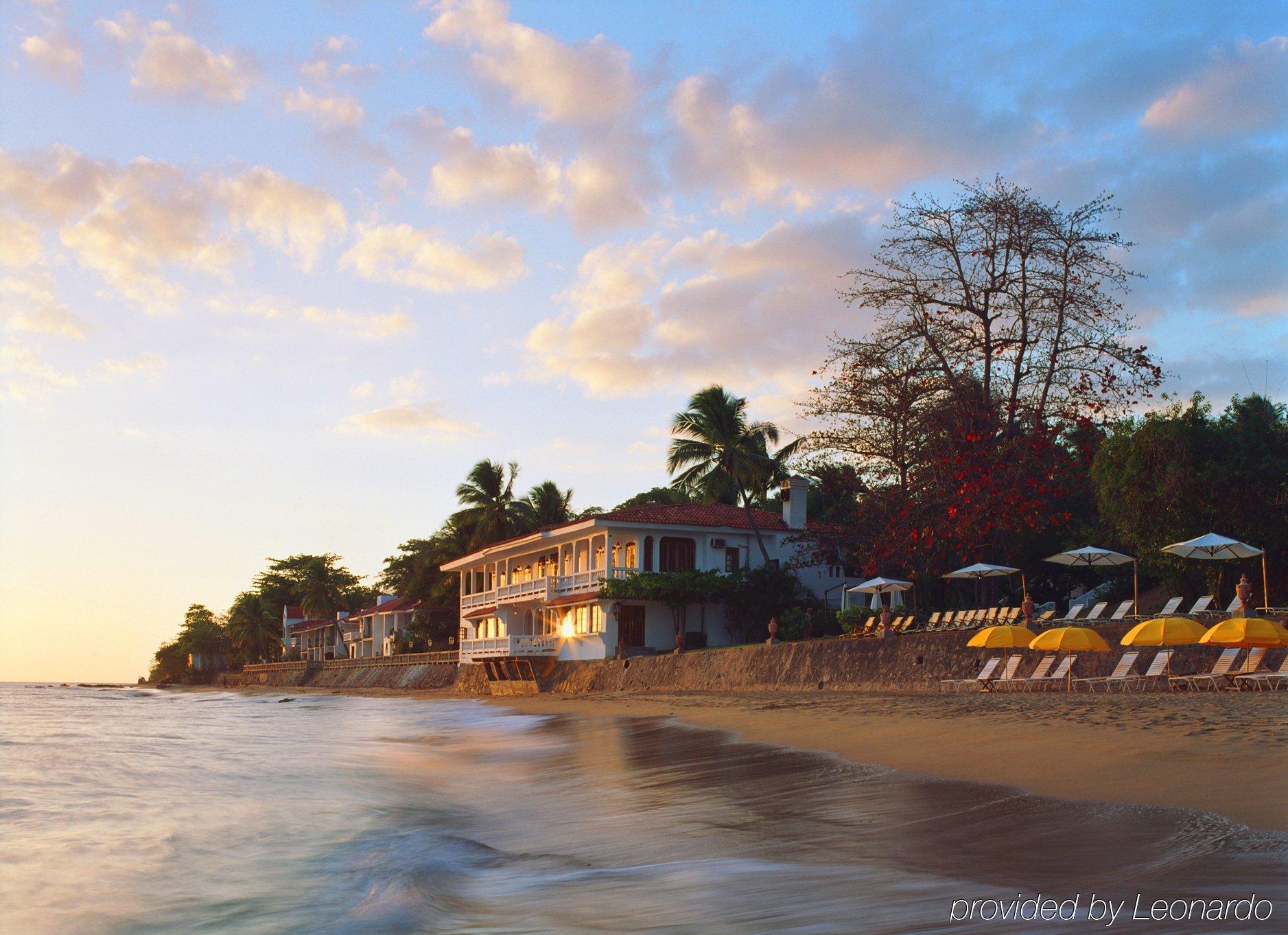 Hotel Horned Dorset Primavera Rincon