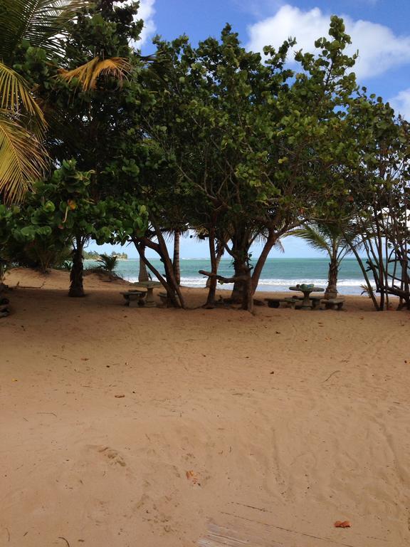 Beach Front Rio Mar Puerto Rico *