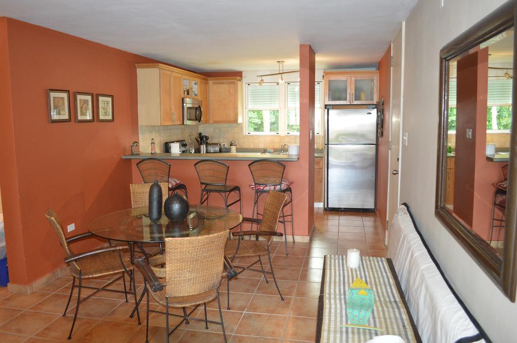 Beach Front Rio Mar Puerto Rico Apartment Rio Grande