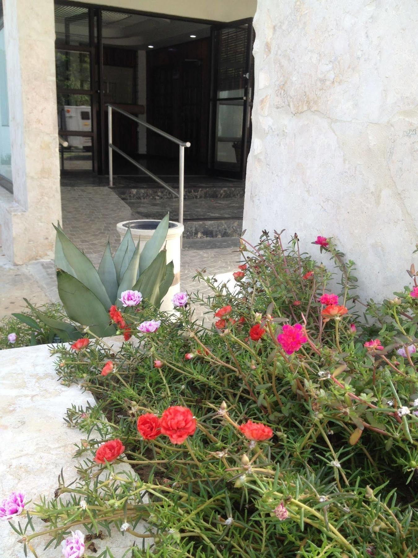Arecibo Inn