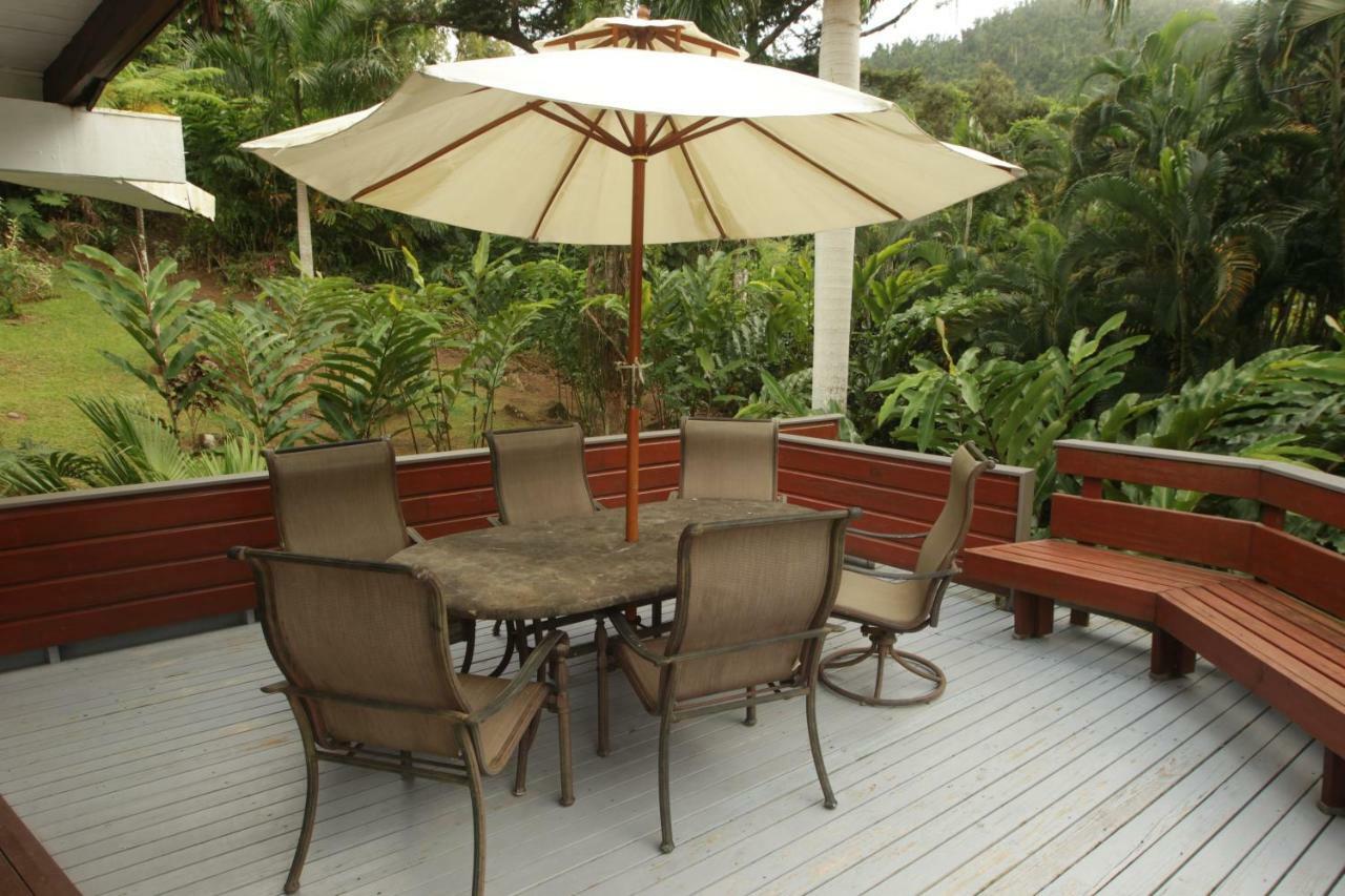 Casa Tugwell, A Mystic Chalet Inside El Yunque Rainforest Holiday home Rio Grande