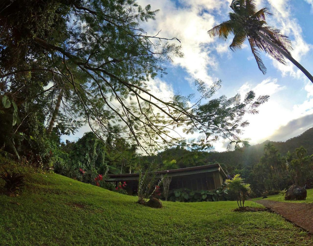 Casa Tugwell, A Mystic Chalet Inside El Yunque Rainforest *