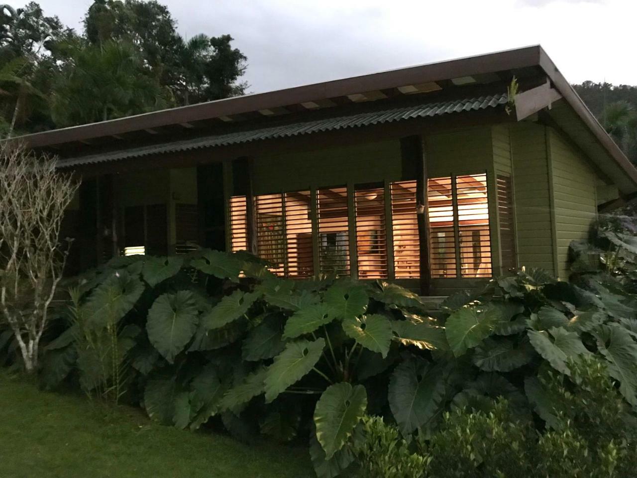Casa Tugwell, A Mystic Chalet Inside El Yunque Rainforest * Rio Grande