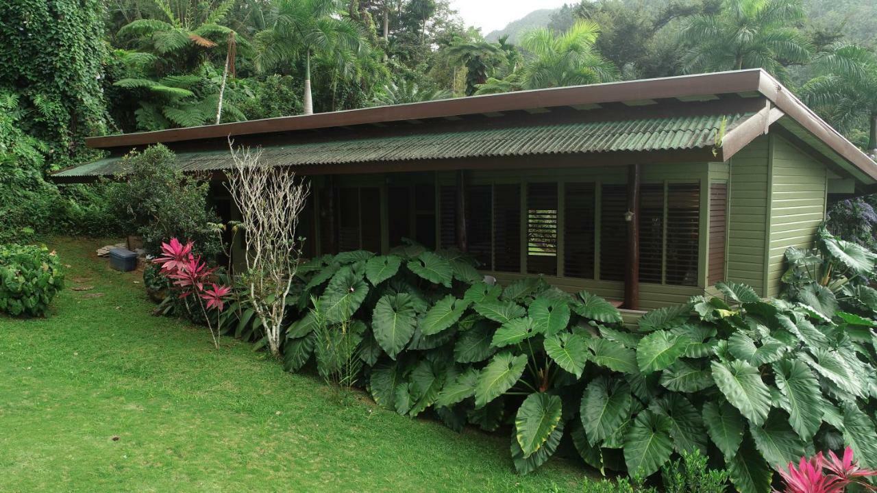 Casa Tugwell, A Mystic Chalet Inside El Yunque Rainforest Rio Grande