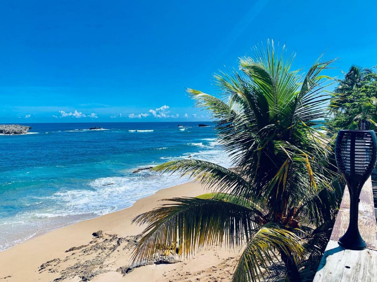Ventana Al Atlantico At Arecibo 681 Ocean Drive Homestay *