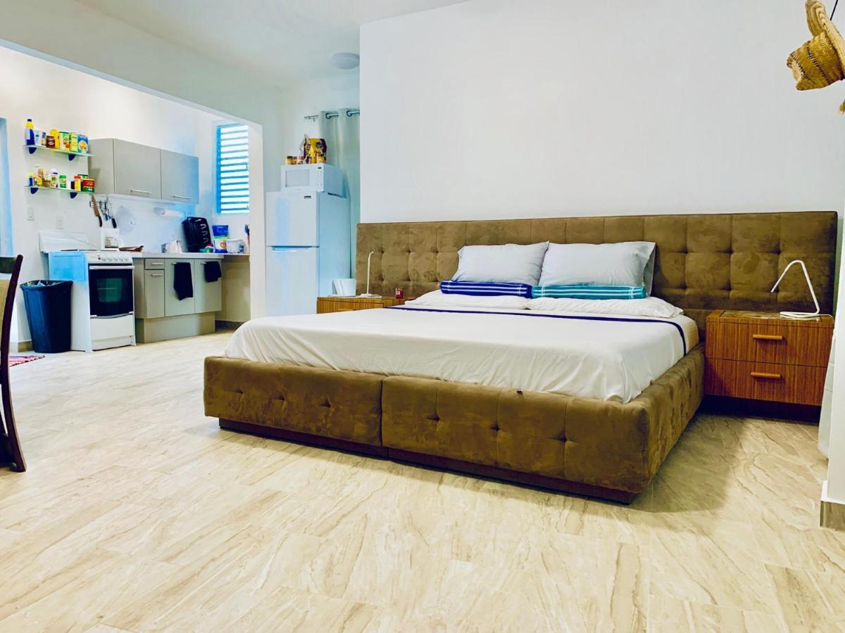 Ventana Al Atlantico At Arecibo 681 Ocean Drive Homestay Islote