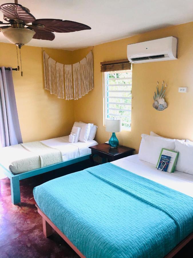 Guest house Flamboyan