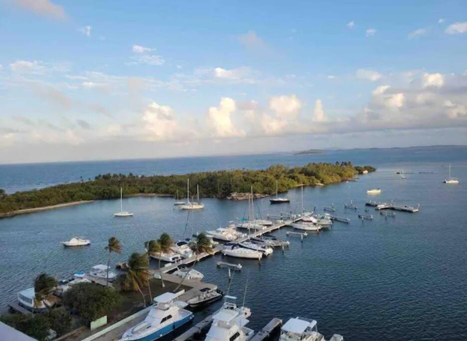 Ocean Zen Isleta Marina *