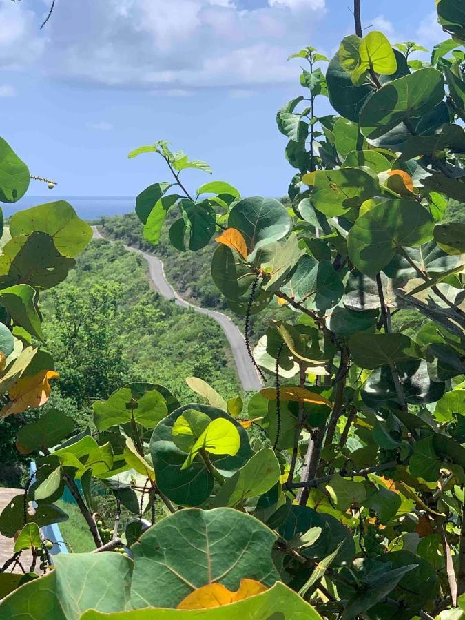Coqui Home, Culebra Apartment *