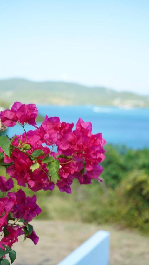 Coqui Home, Culebra *