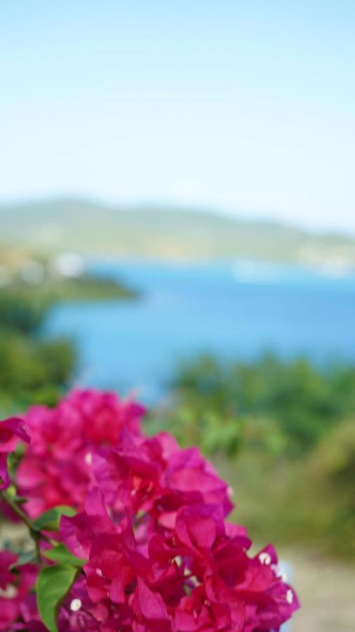 Coqui Home, Culebra Apartment