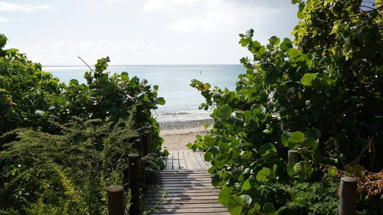 Coqui Home, Culebra Apartment