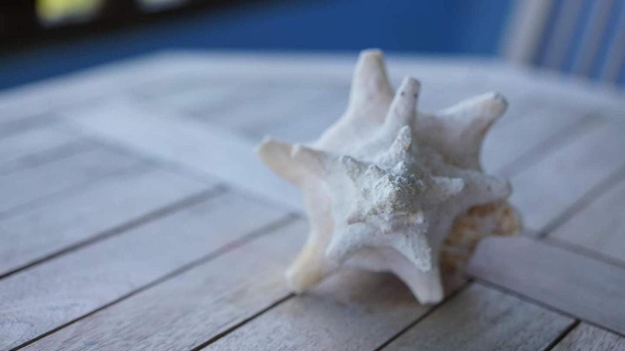 Coqui Home, Culebra *