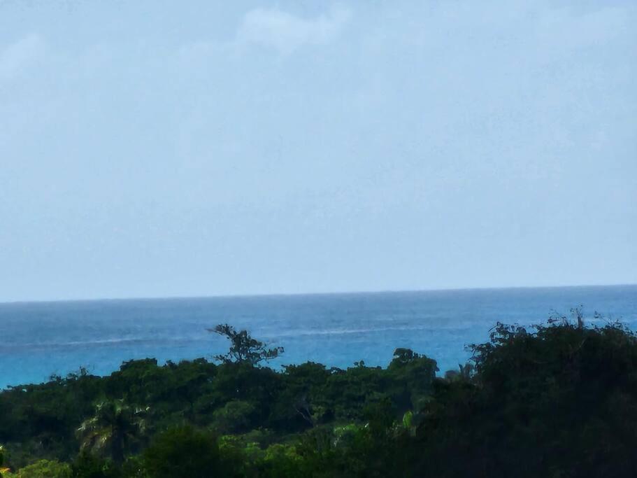 Ocean Peak