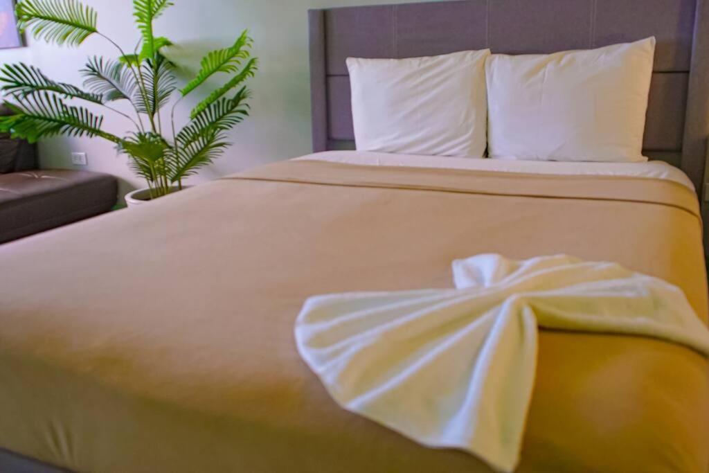 Sea View Wonder - Playa Jobos 2 * Isabela