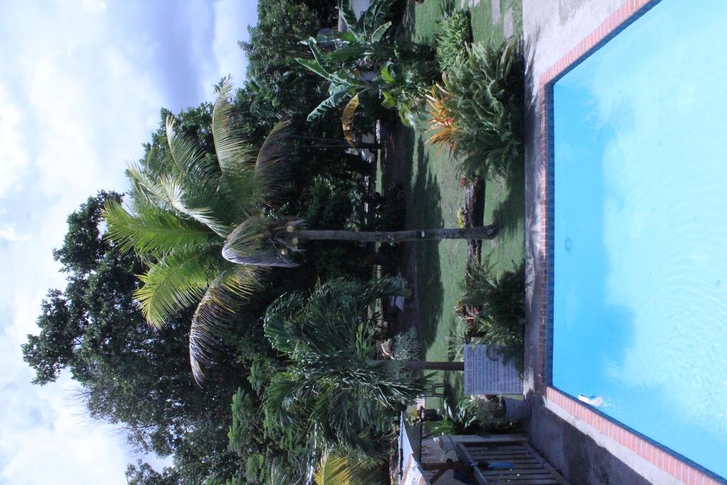 Del Mar Eco Lodging Apartment