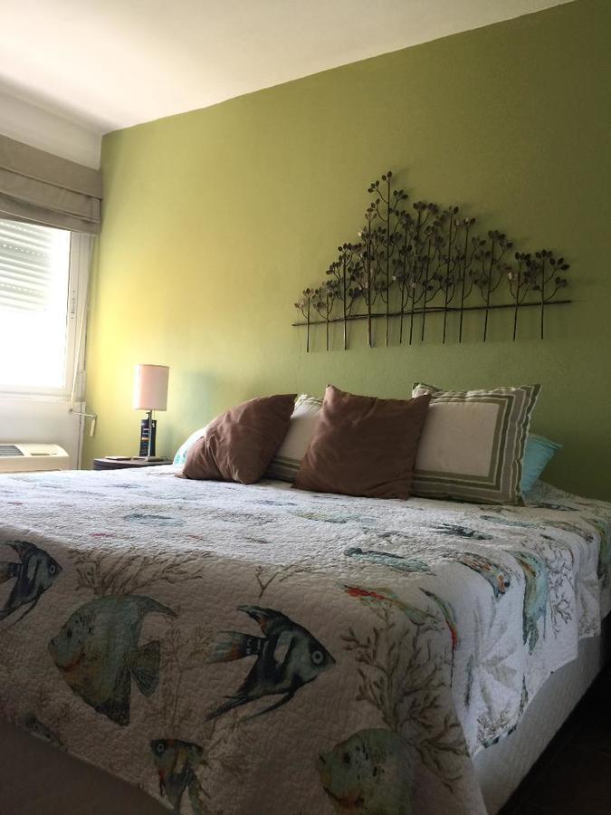 Dolphin Tower Apartment Luquillo