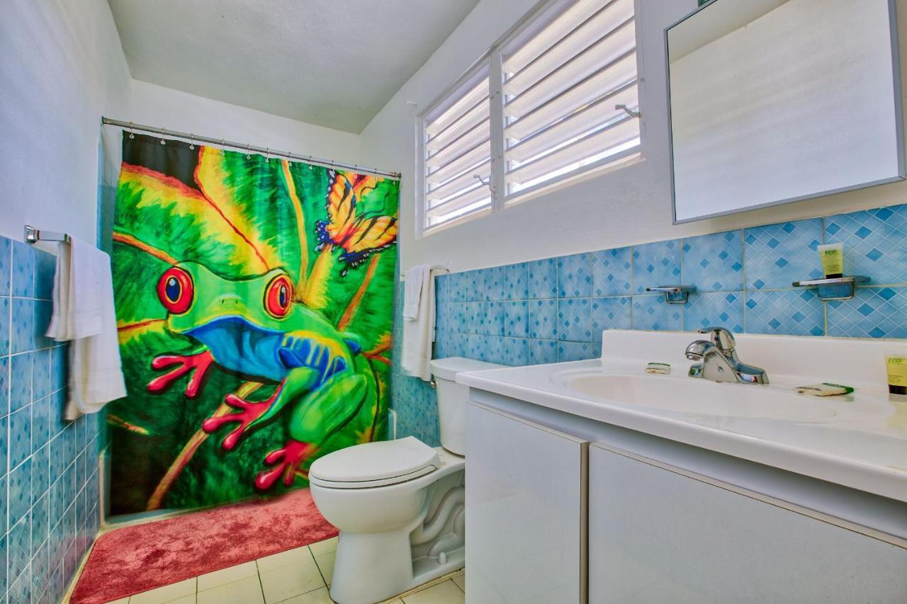 Hotel Coconut Palms Rincon