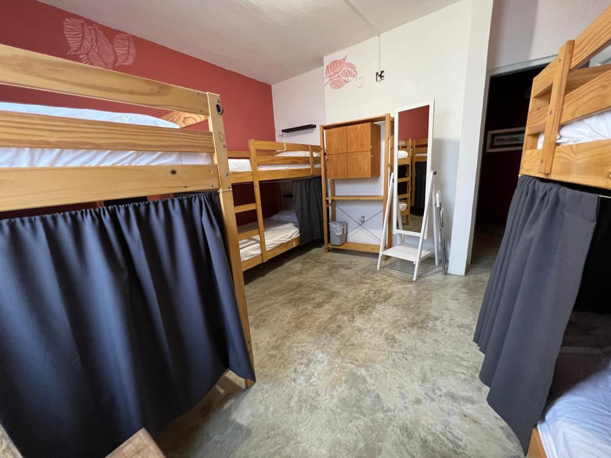 Casa Coral Hostel Luquillo