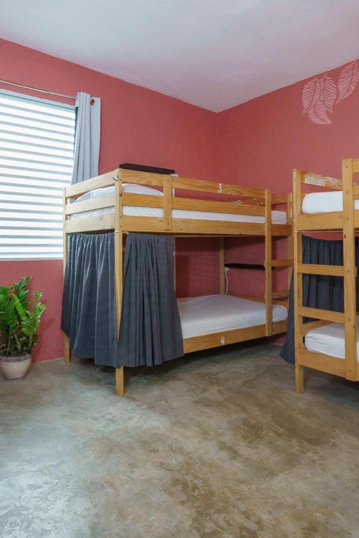 Hostel Casa Coral Luquillo