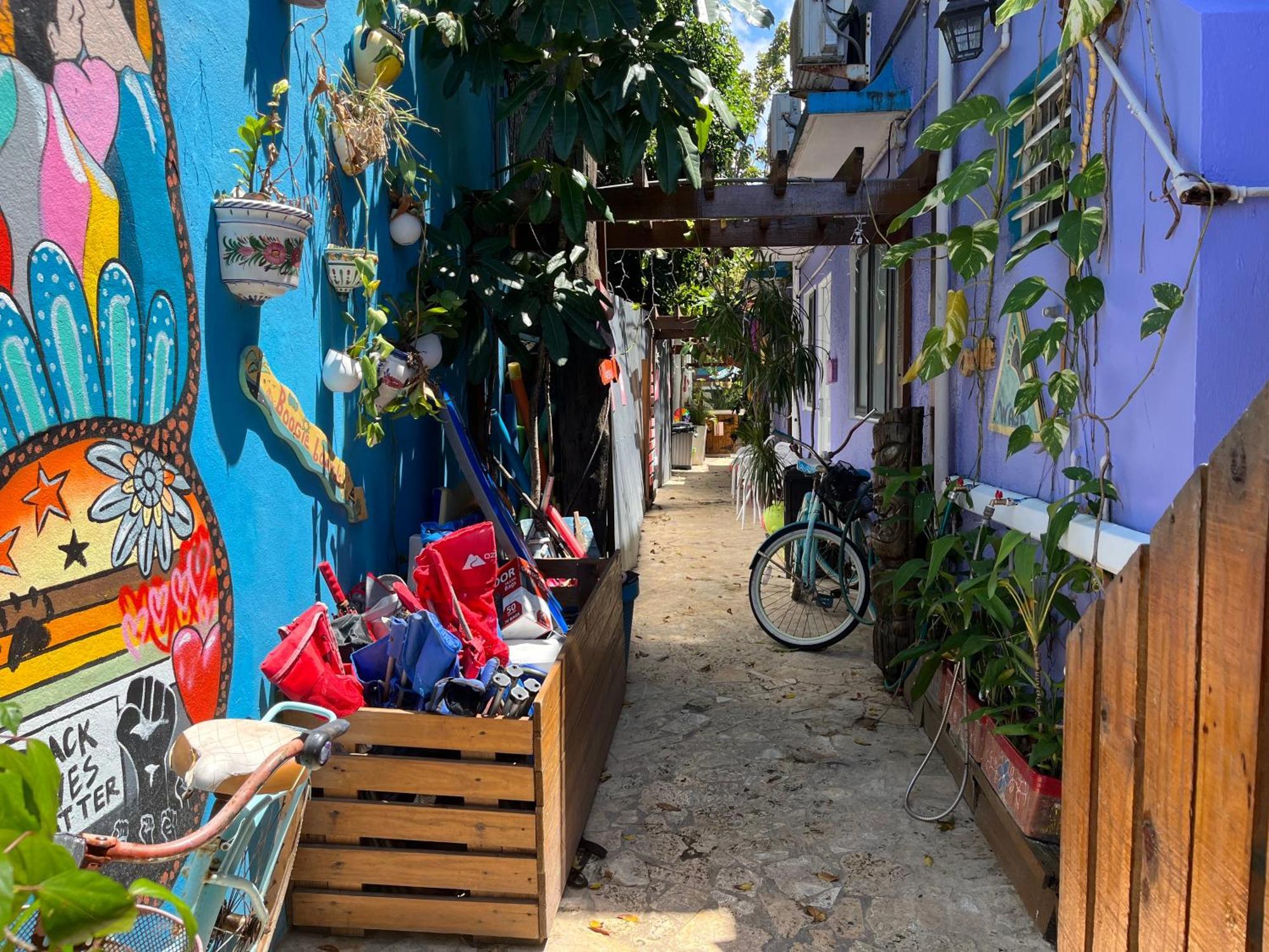 Lower Price, Style, Discount In San Juan,pr, Beach, Free Bikes (adults Only) Apartment