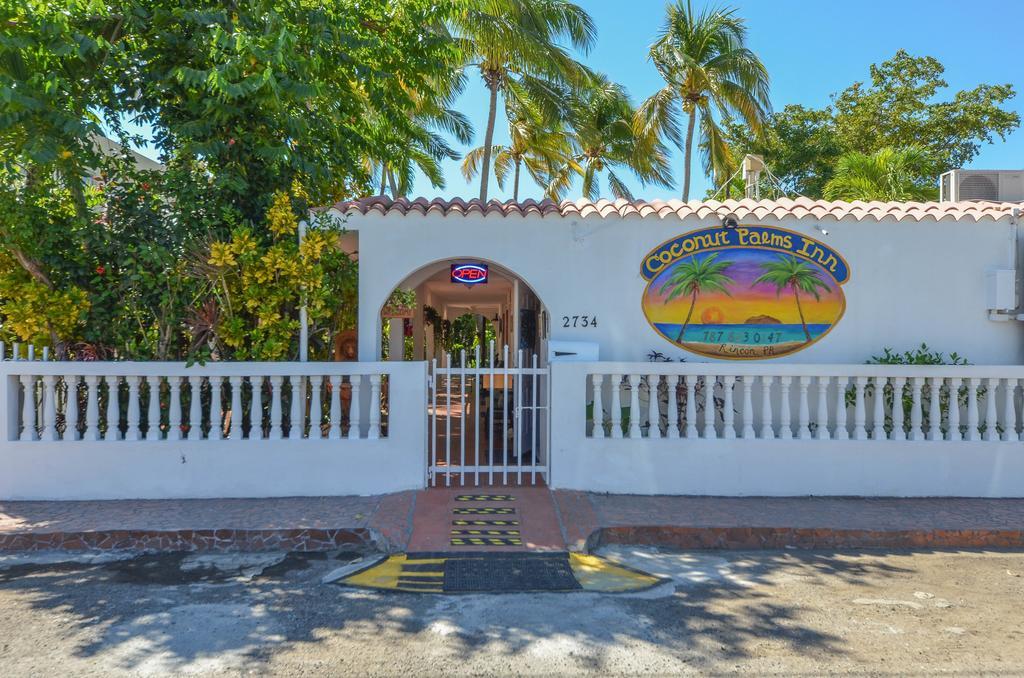Coconut Palms