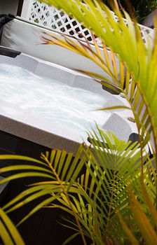Apartment Lower Price, Style, Discount In San Juan,pr, Beach, Free Bikes (adults Only)